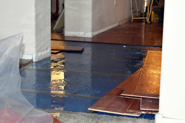 Professional Burst Pipe Cleanup technician working in Boring, OR